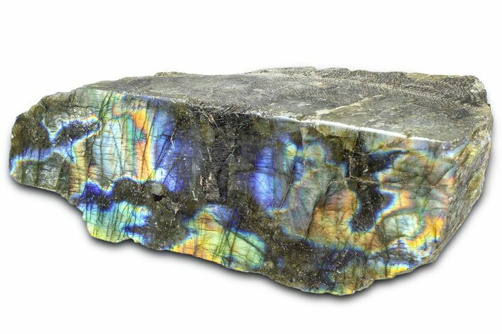 Single Side Polished Labradorite Section - Madagascar #364272